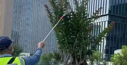 昆山绿化养护：守护城市绿意的幕后力量