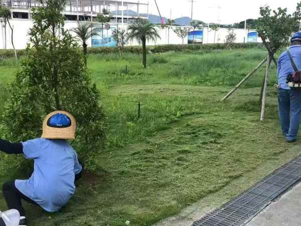 企事业单位绿化养护
