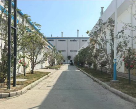 绿化工程